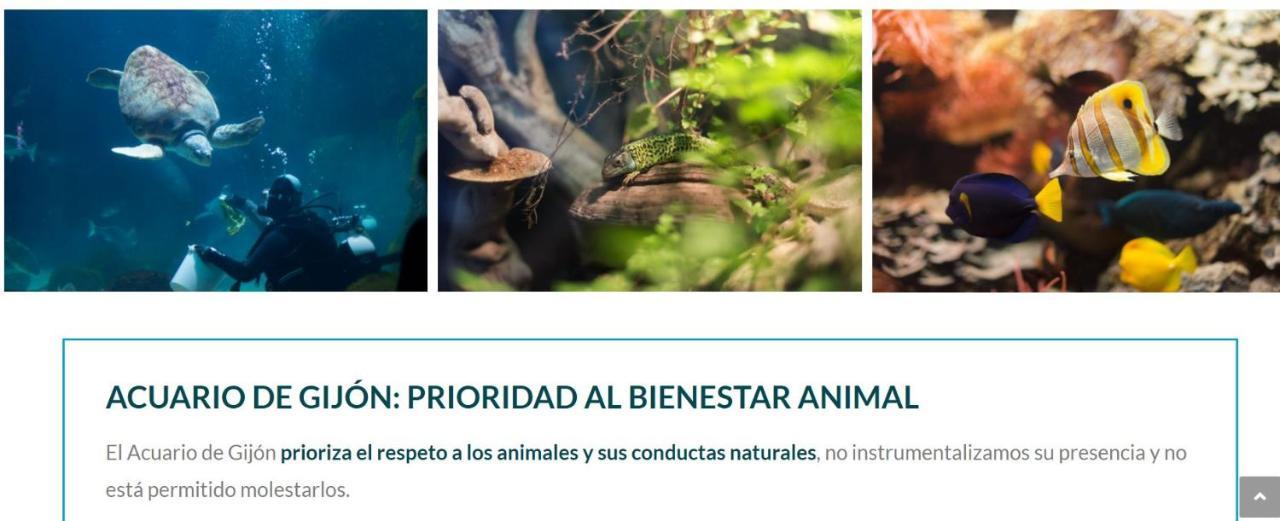 Playa Del Puntal Villaviciosa Asturias Lujo Primera Linea Playa Ngoại thất bức ảnh